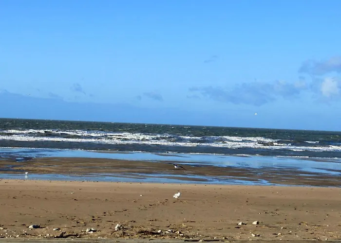 Le Garden Fleuri By Interhome Apartment Blonville-sur-Mer